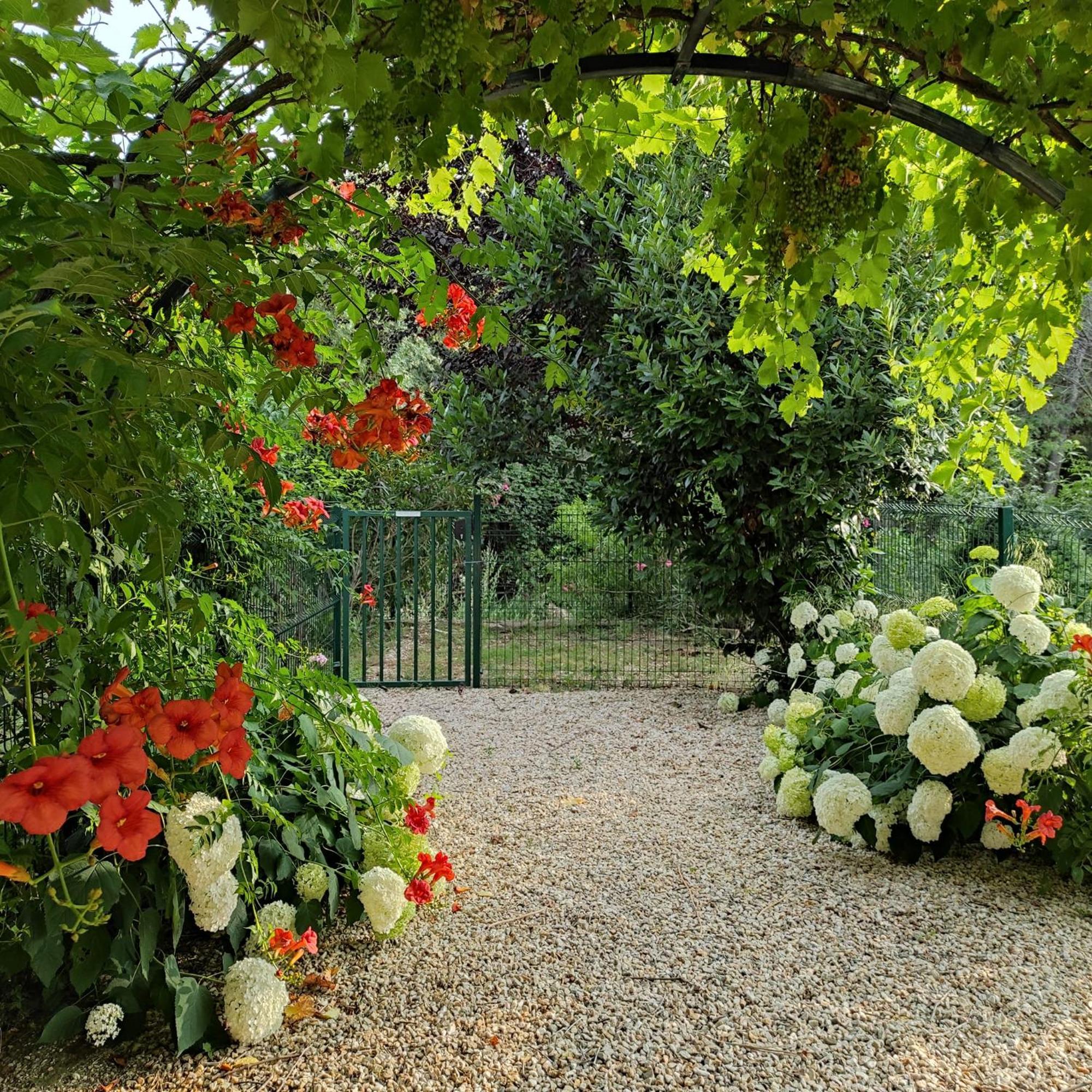 Villa Angel - Spa Caunes-Minervois Εξωτερικό φωτογραφία
