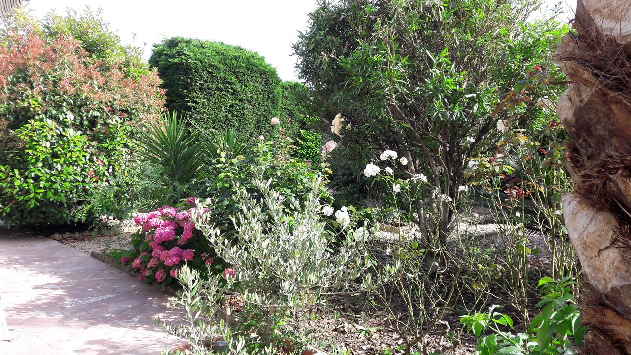 Villa Angel - Spa Caunes-Minervois Εξωτερικό φωτογραφία