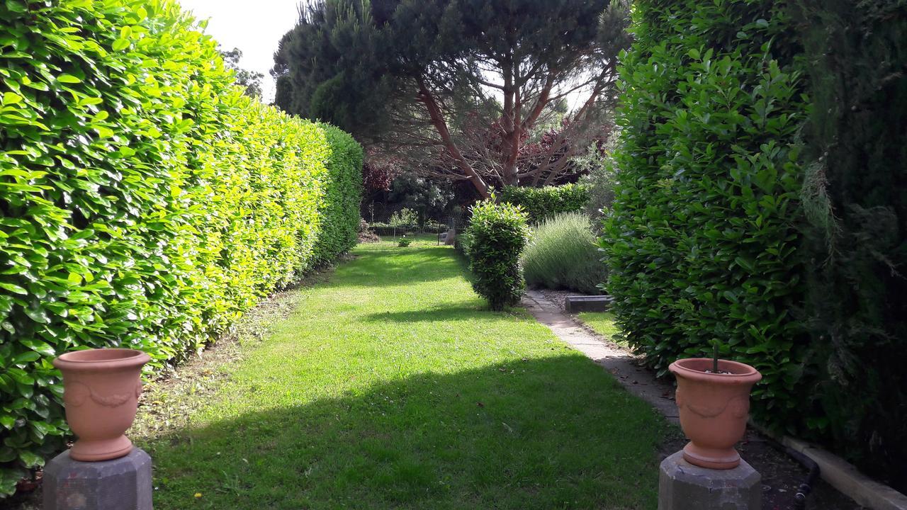 Villa Angel - Spa Caunes-Minervois Εξωτερικό φωτογραφία
