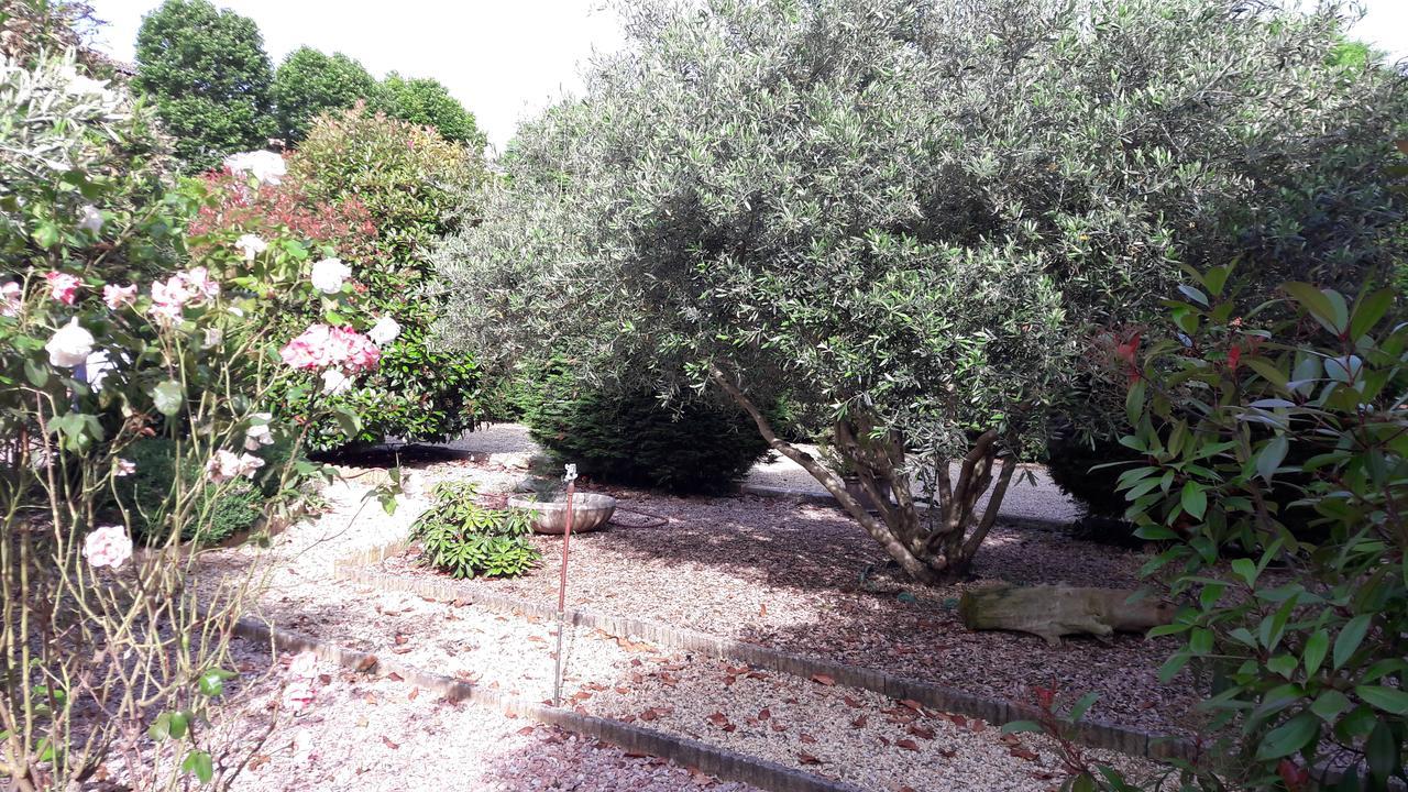 Villa Angel - Spa Caunes-Minervois Εξωτερικό φωτογραφία